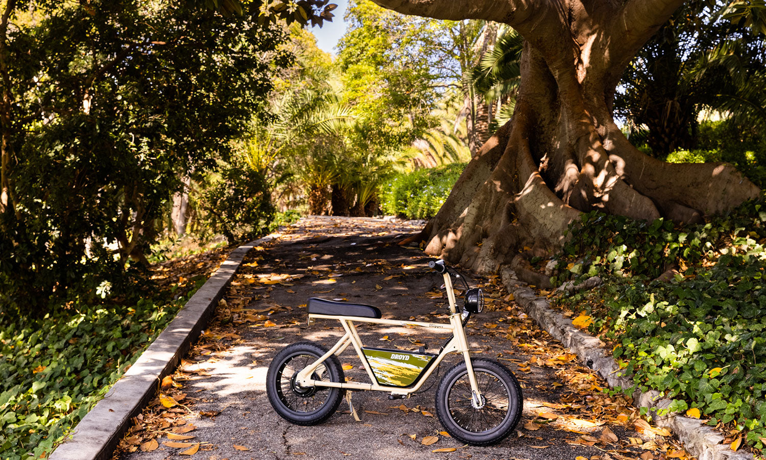 How To Choose The Best E-bike For Teens: A Parent's Guide