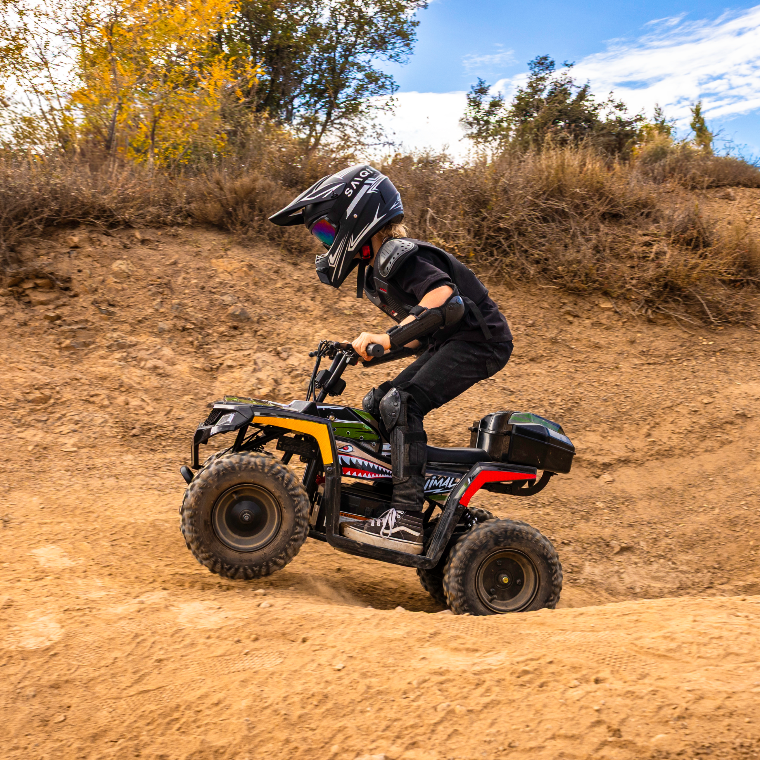 ATVs