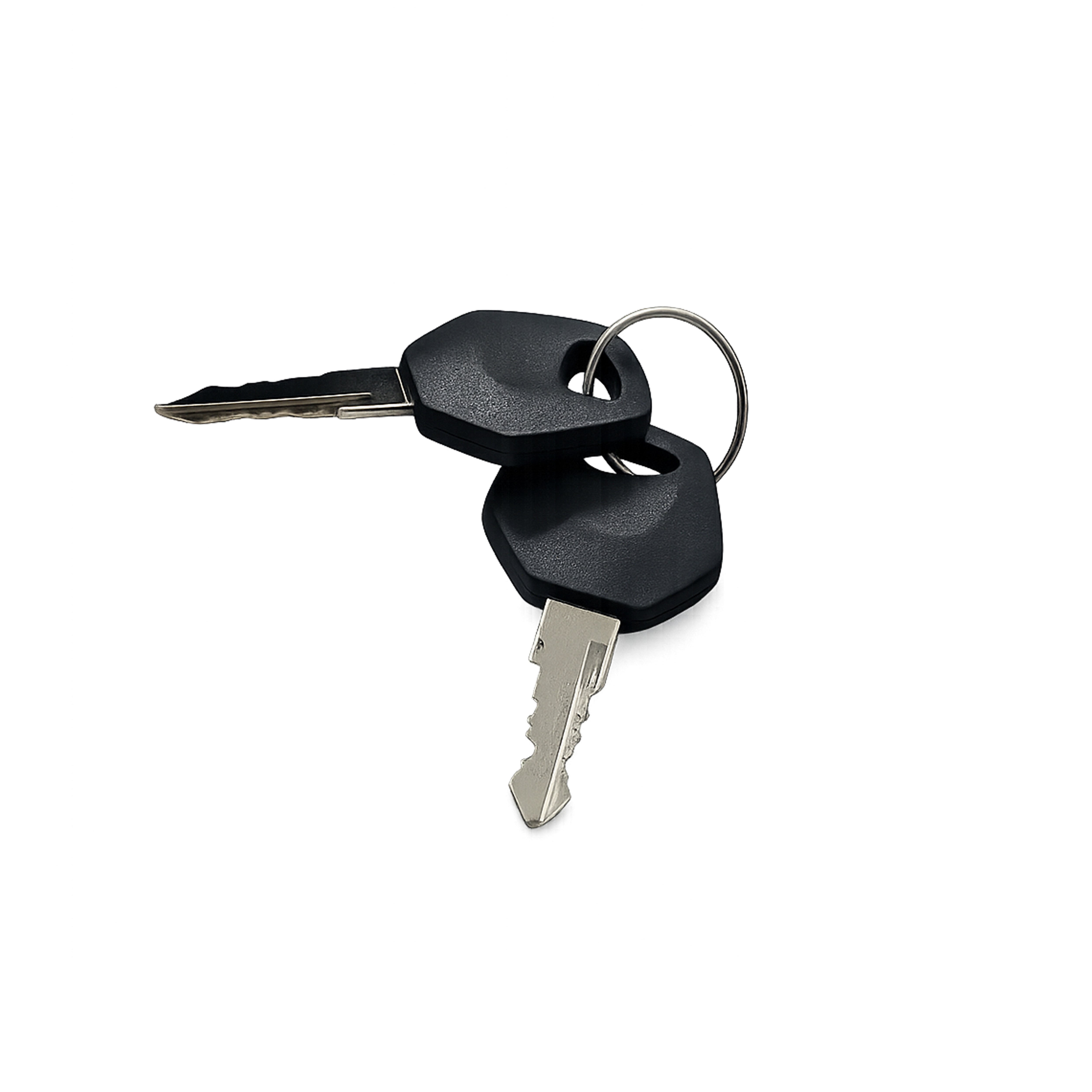 Ignition Key (Fury & Animal)