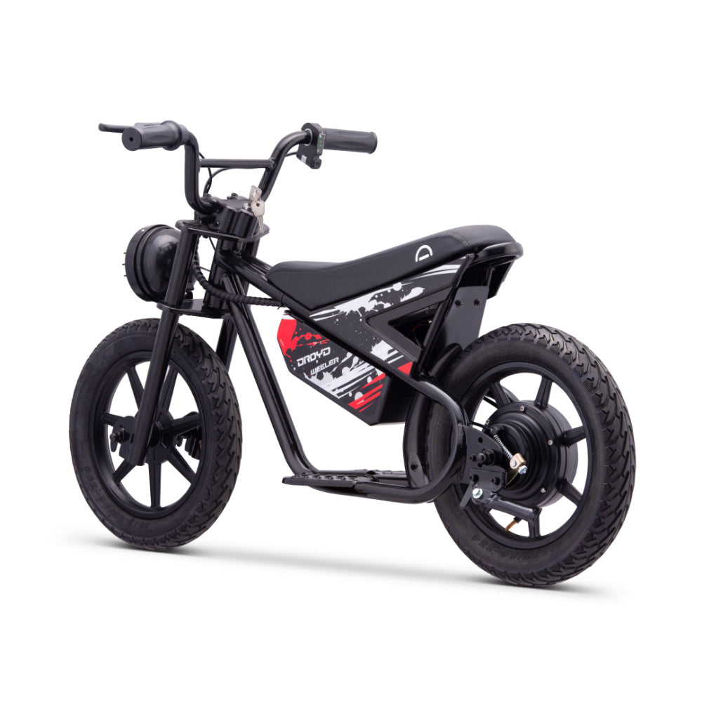 Weeler Electric Bike for Ages 6 and Up - Droyd