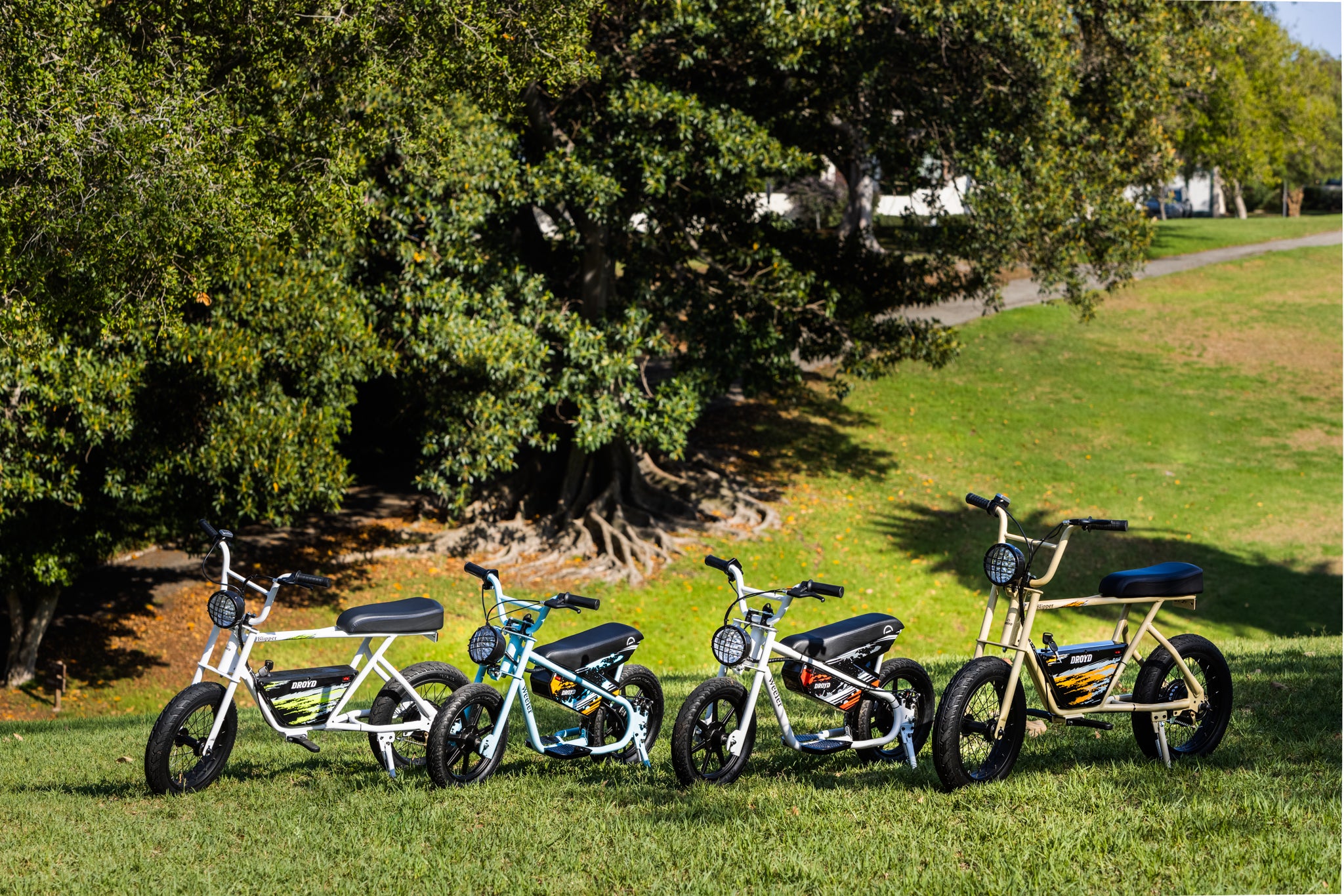 Customer Support - Droyd