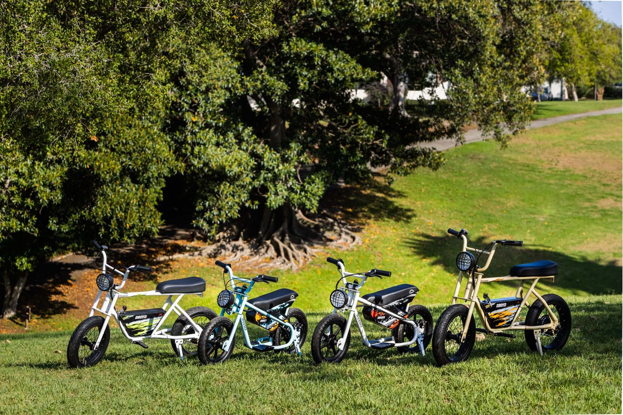 hp_group_bike_01